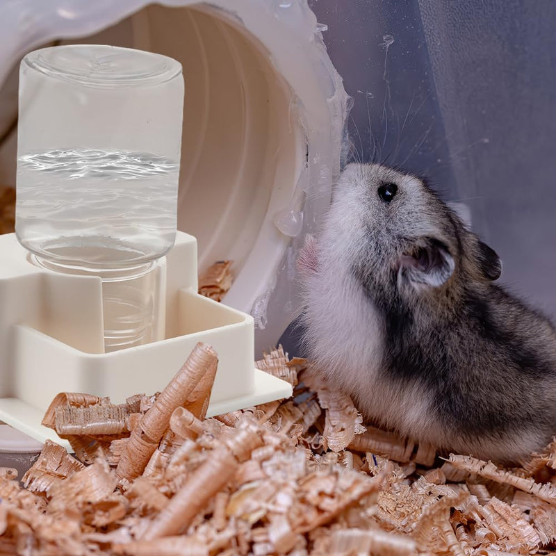 1 Pack Hamster Water Bowl Automatic Water Dispenser for Hamster Syrian Mice Gerbil Rodent (White) - PawsPlanet Australia