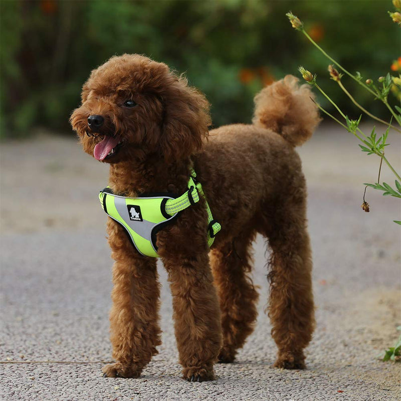 TRUE LOVE Dog Harness TLH5991 Anti Pull Safety Vest Step-in Style Harness for More Comfort and Less Tug Reflective Pet Harness by Truelove S Neon Yellow - PawsPlanet Australia