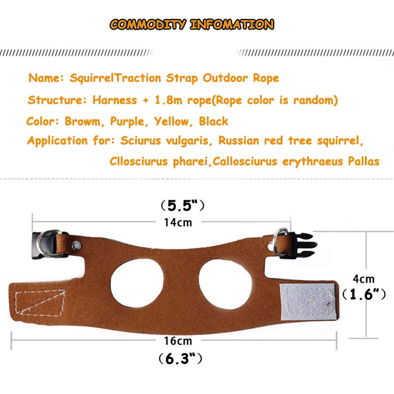 Squirrel Traction Rope Strap Anti-Biting Chain Rope, Adjustable Vest, Small Animal Walking Harness with Lead Leash, Hamster Gerbil Rat Mouse Ferret Chinchilla Small Animal Walking Leash Black - PawsPlanet Australia