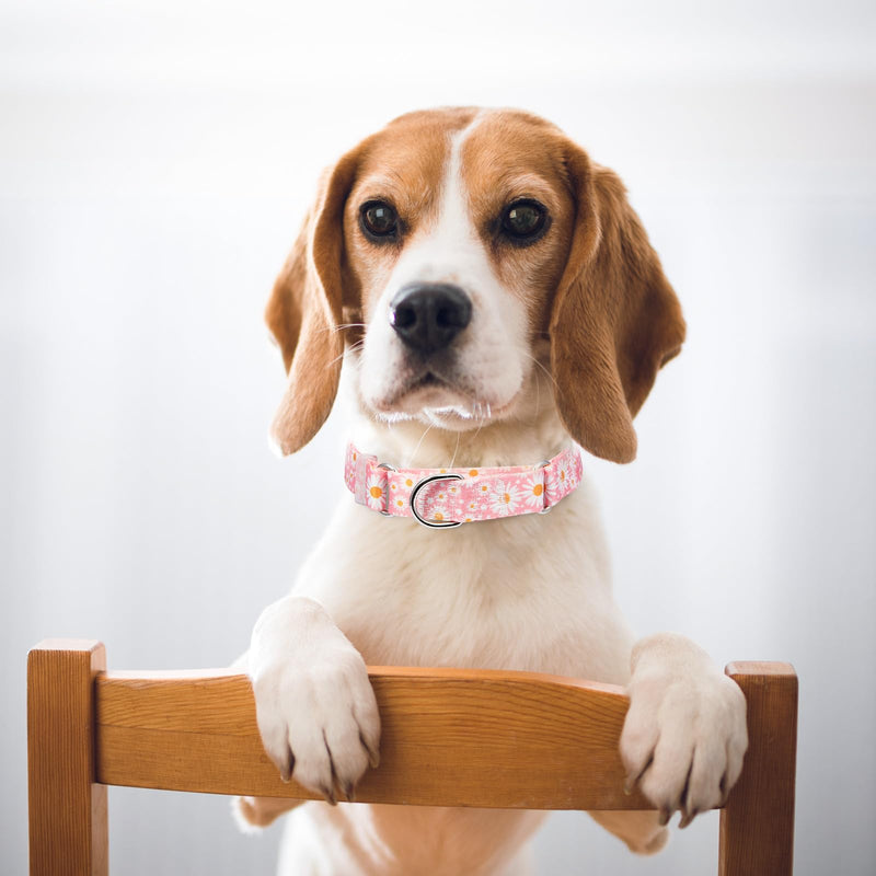 Martingale Collar for Dogs Medium Large, Girl Dog Collars with Adjustable Soft Nylon and Special Pink Daisy Floral Design, Training No Slip Dog Collar (M) 8 M for Neck 16-21" - PawsPlanet Australia