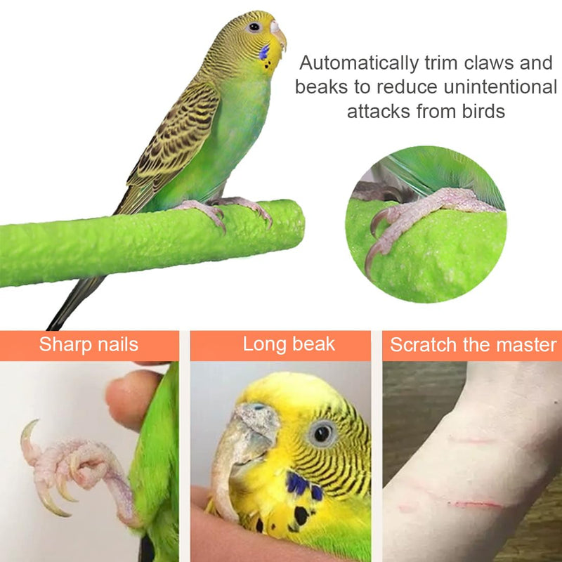 Hamiledyi 4 PCS Parrot Perch Stand Toy Bird Cage Perch Toy Natural Paw Grinding Stick for Medium Parrots Parakeets Cockatiels Lovebirds Chewing Stick (M) M(7.9inch) - PawsPlanet Australia