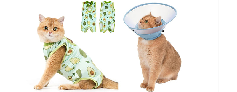 Avont Breathable Cat Recovery Suit Bundle with Adjustable Cat Cone Collar for Cats After Surgery - S