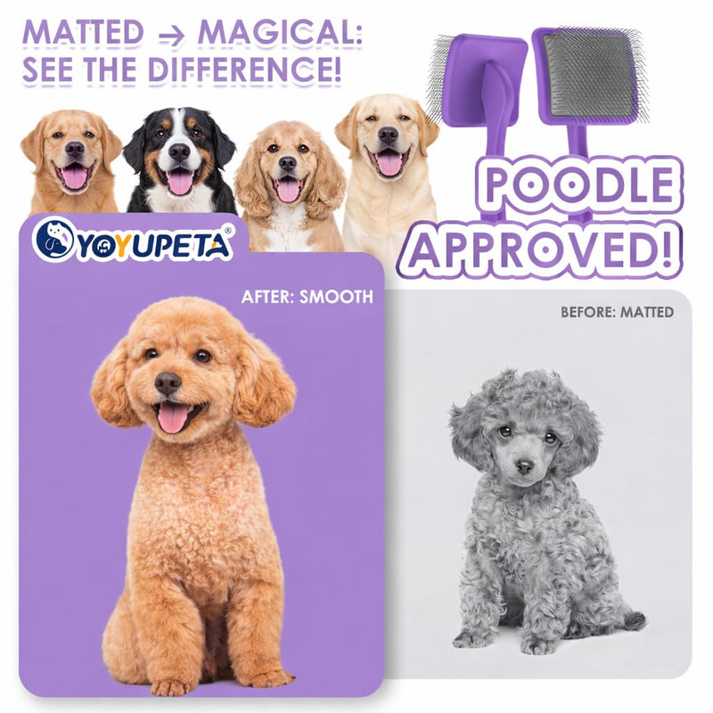 Large Slicker Brush for Dogs,Doodle Brush for Poodles, Goldendoodles, Labradoodle, Extra Long Pins for Detangling Matted Fur & Removing Tangle, Dog Grooming Kit with Wooden Handle. Purple - PawsPlanet Australia