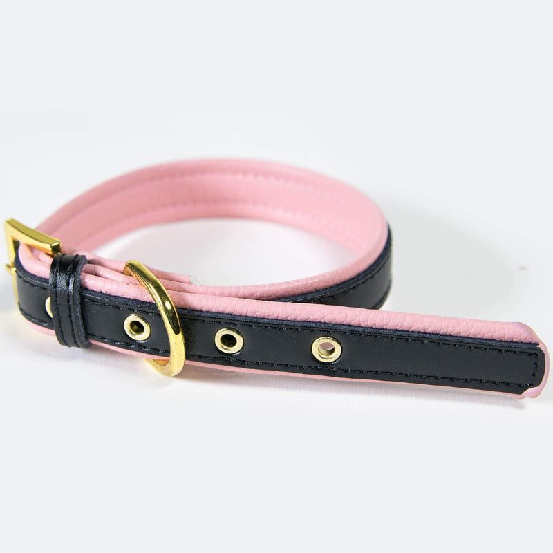 Girl Dog Collar/Cat Collar Adjustable XS - Small Pink Soft & Comfy Padded Leather Puppy Cute Pet Collars - Black XS (Neck Size 8" - 10.5") Black on Pink - PawsPlanet Australia