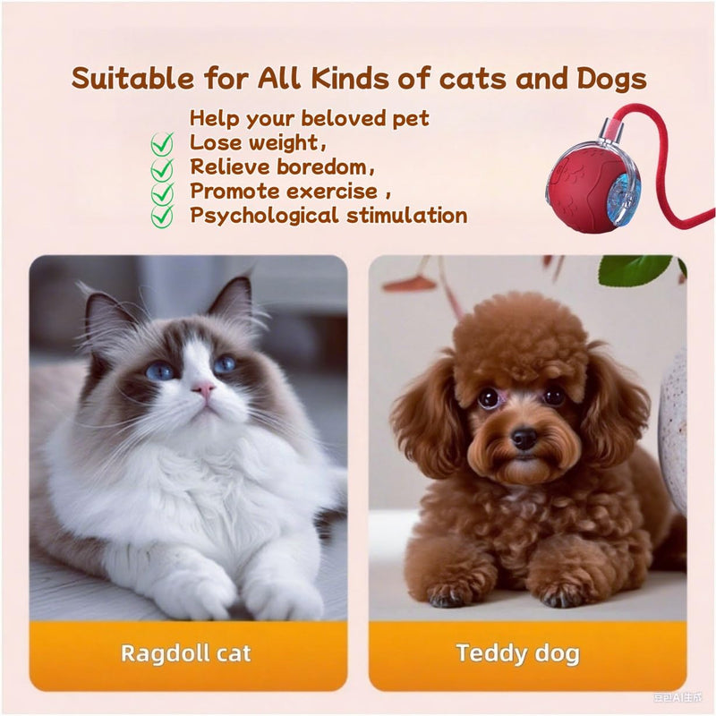 2025 New Interactive Cat Toy Ball for Indoor Cats Dog, Smart 360° Automatic Rolling Pet Ball Kitten Toys with Replace Feather , 3.0 Tail Electric Cat's Toys with LED Light Three Modes Adjustment Red - PawsPlanet Australia