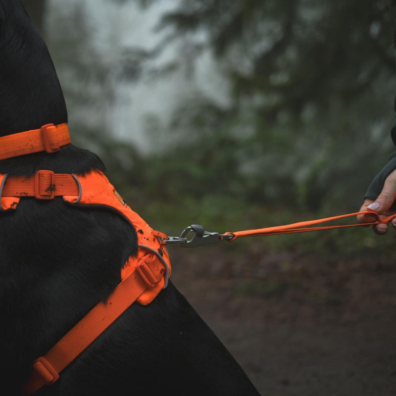 RUFFWEAR Front Range Dog Lead, No Pull 1.5m Pet Leash with Padded Handle, Lightweight Adjustable & Heavy Duty Animal Lead, Anti Tangle Dog Walking & Training, Blaze Orange 1.5 m