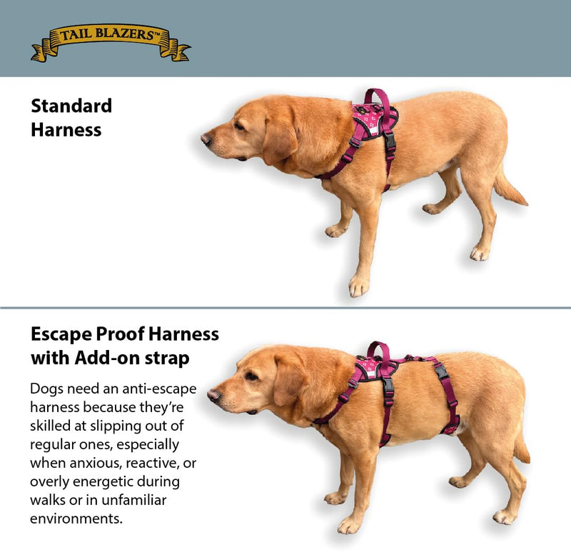 Anti-Escape Dog Harness. Adjustable No Pull, Reflective, Breathable, Padded. Ideal for Puppy Essentials. Small to XL Breeds, Perfect Collars, Harnesses & Leads for Dogs. (Blue, Small) Blue