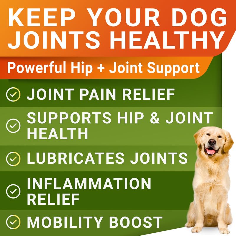 STRELLALAB Glucosamine Treats for Dogs - Joint Supplement w/Omega-3 Fish Oil - Chondroitin, MSM - Advanced Mobility Chews - Hip & Joint - Beef Liver - 120 Ct - Made in USA - PawsPlanet Australia