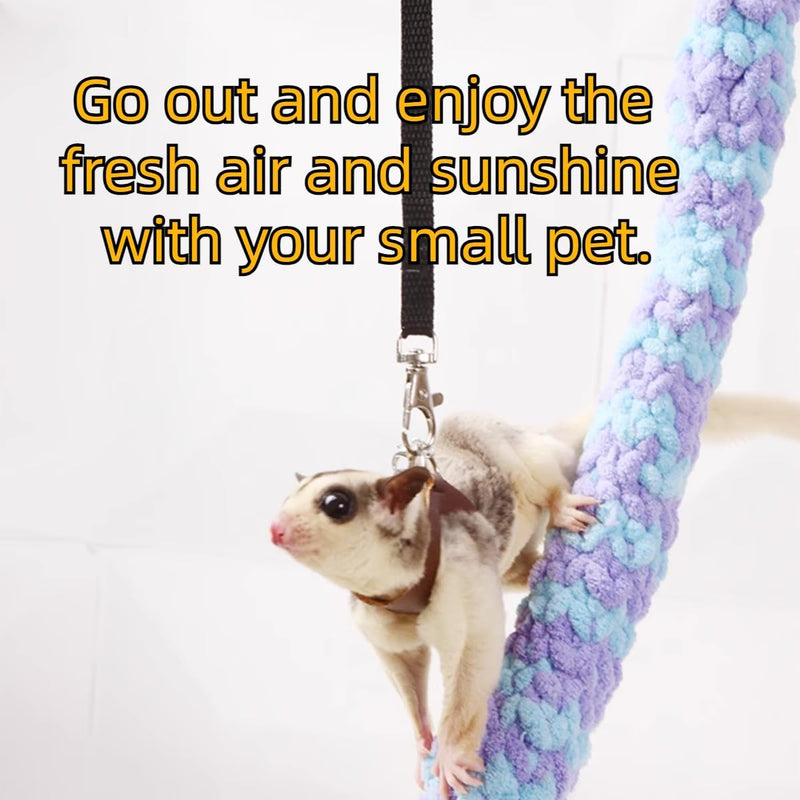 MANON ROSA Sugar Gliders Harness Leash Set - 3 Pcs Training Walking Gear Small Animal Adjustable Traction Ropes Vest for Squirrels Hamsters Rats Gerbils Reptiles Bearded Dragon Lizards Black 01 Black - PawsPlanet Australia
