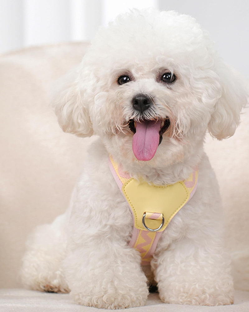 Petank Pink Small Dog Harness for Small Dogs, No Pull Dog Harness with 2 Leash Clips, Puppy Harness for Small Dogs, Adjustable Dog Vest Harness (Pink, S) - PawsPlanet Australia