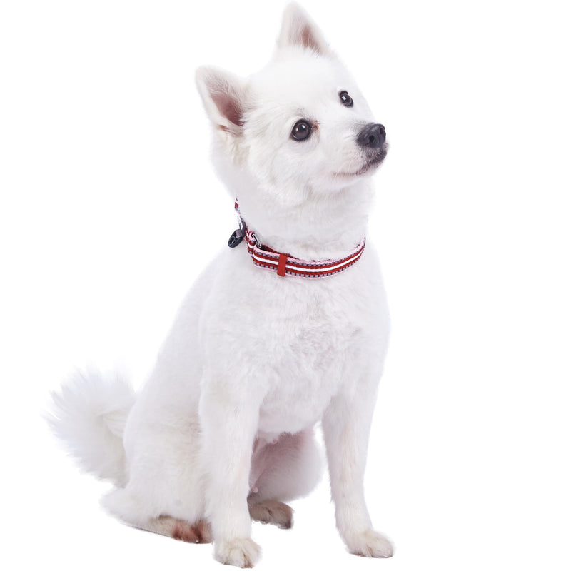 Blueberry Pet Safety Dog Collar with Dual D-Rings | 3M Reflective Multi-Colored Adjustable Collar in Marsala Red and Pink | Soft Nylon Dog Collar for Active Small Dogs - PawsPlanet Australia