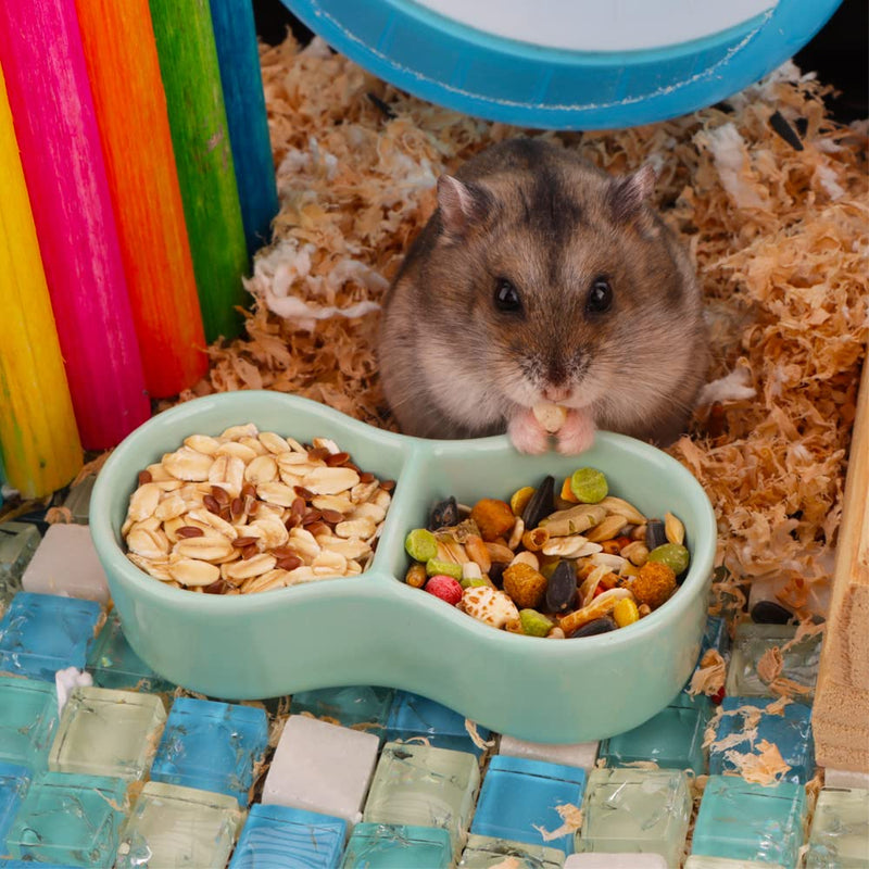 2 Pcs Hamster Ceramic Food Bowl, Double Grid Design Anti-turning Food and Water Dish for Hamster Hedgehog Sugar Glider Gerbil Chipmunk Rodent (Colors May Vary) - PawsPlanet Australia