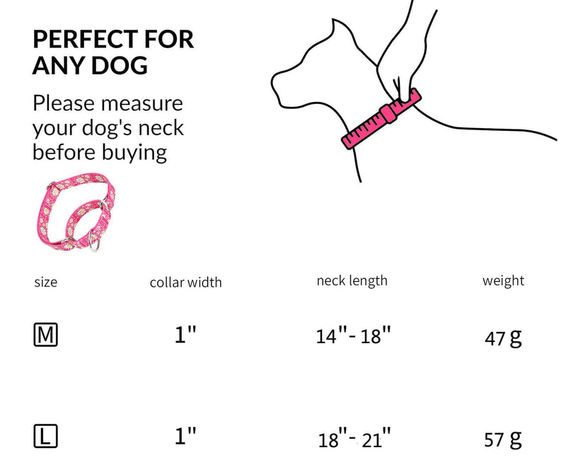 Martingale Collar for Dogs, Adjustable Soft Nylon Dog Collars with Design Cute Daisy Design Patterns for Small Medium Large Dog (Purple, Medium) Purple - PawsPlanet Australia
