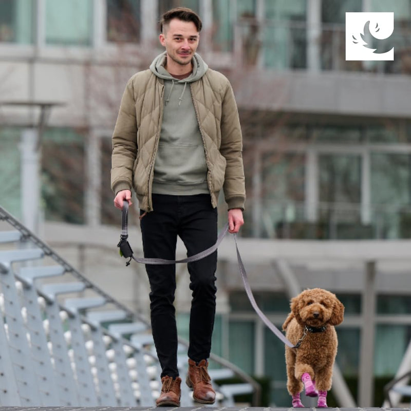 RC Pet Products Sporty PAWks Anti-Slip, Stylish, Functional, Protective Dog Socks | X-Small, Electric Blue/Cyan - PawsPlanet Australia