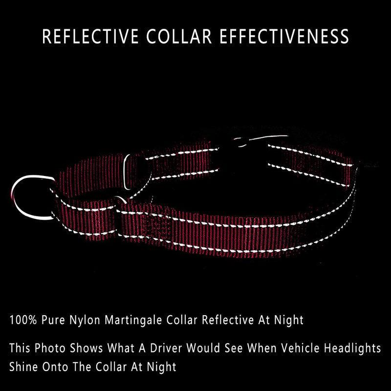 PLUTUS PET Reflective Martingale Collar with Quick Snap Buckle,No Pull Dog Choker Collar for Small Medium Large Dogs,M,Hot Pink M:16"-20" Hot Pink - PawsPlanet Australia