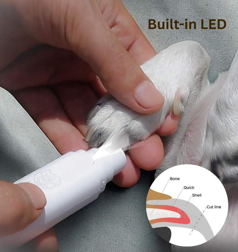 Dog Nail Grinder– Professional 2-Speed Electric Rechargeable Pet Nail Trimmer Painless Paws Grooming & Smoothing for Small Medium Large Dogs and Cats (White) - PawsPlanet Australia
