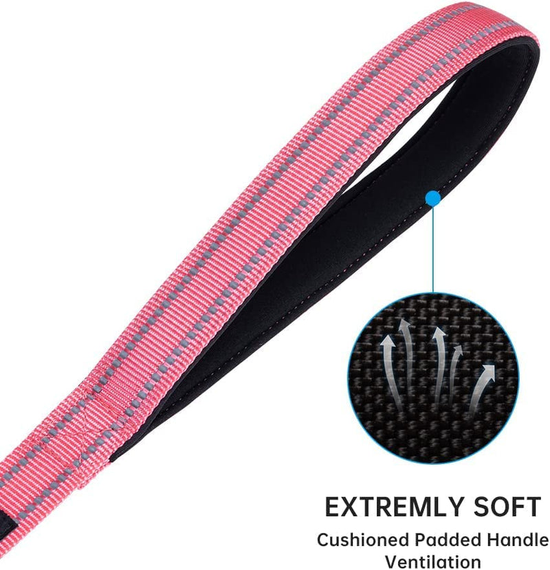 EXCELLENT ELITE SPANKER Strong Durable Nylon Dog Training Leash Traction Rope 4 Feet Long 1" Wide with Handle for Small and Medium Dog(Pink) 4.3ft x 1 in. Pink - PawsPlanet Australia