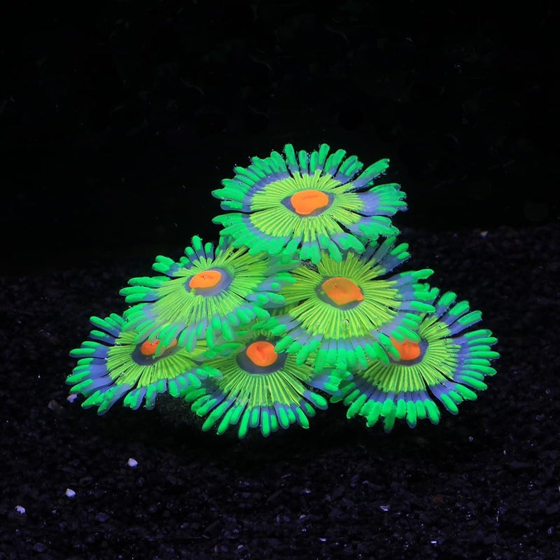 Glowing Effect Fish Tank Aquarium Decorations, Artificial Silicone Plants Ornaments for Fish Tank Landscape Decor Glow in The Dark Soft Anemone for Small Fish Bowl Decor Green - PawsPlanet Australia