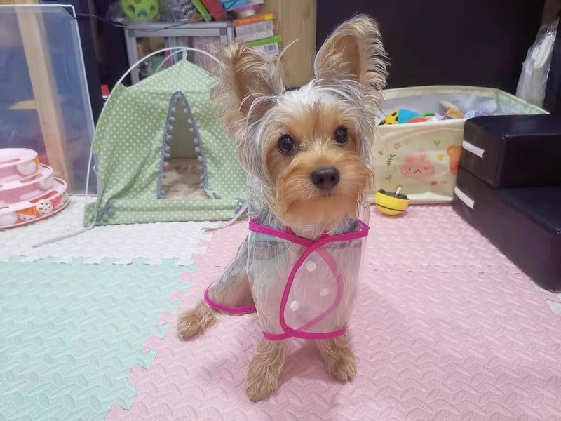 Pet Raincoat,Small Dog Waterproof Puppy Raincoat Coat Transparent Pet Dog Rainwear Clothes for Small Dogs Cats (L, Pink) L-Back 11.8'' For <10lb dogs - PawsPlanet Australia