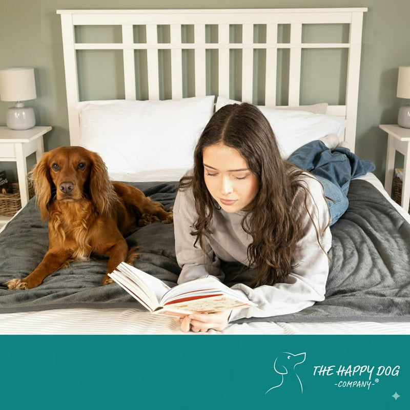 Waterproof Dog Blanket Washable – Dog Waterproof Blanket for Couch, Reversible Sherpa & Microfiber, Thick 460 GSM Dog Blanket Waterproof, 40x47 Dark Gray Flannel/Gray Sherpa Large (40" x 47") - PawsPlanet Australia