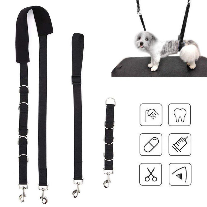 ASOCEA Adjustable Nylon Dog Grooming Belly Strap Leash Pet Bathing Restraint Band with D-Rings for Small Medium Dogs Cat Puppy Kitty Hair Cutting Washing Black - PawsPlanet Australia