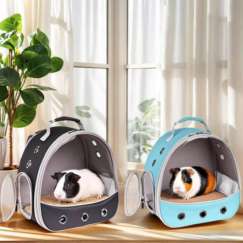 Small Animal Pet Carrier Backpack for 2 Guinea Pig, Hedgehog Carrier Portable Travel Cage with 7 Ventilation Holes, Clear Front Window and Soft Double-Sided Support and Comfy Fit Mat Black - PawsPlanet Australia