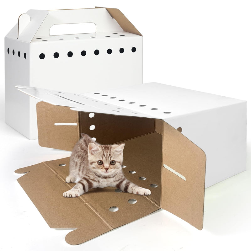 Disposable Cardboard Pet Carrier for Small Animals-12 Pack - PawsPlanet Australia