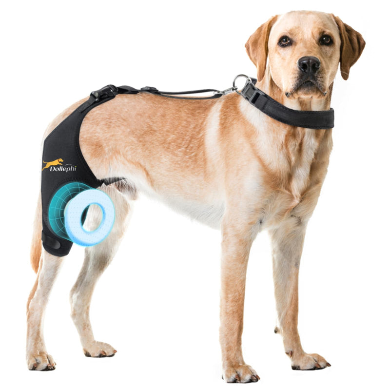 Dog Knee Brace for Torn ACL Hind Leg, Support for Patella Dislocation or Osteoarthritis, Cruciate Ligament Injuries, Cut-out Non-slip Wrap Promotes Patellar Stability,Patent Pending(Right Leg,M) Right Leg(gasket) M