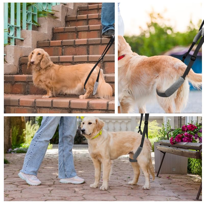 Dog Lifting Harness, Adjustable Assistance Dog Harness Dog Sling Leg Support for Injured Disabled Elderly Dogs Walking Aid