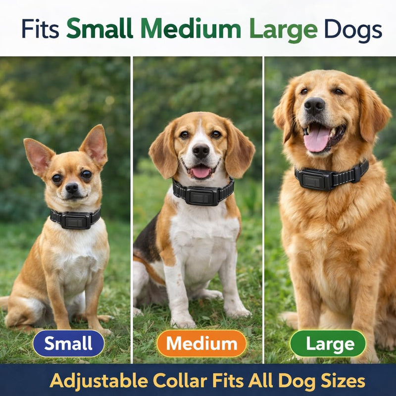 Shock Collars, 5000FT Dog Training Collar with Remote, IPX7 Waterproof E-Collar Featuring Beep, Vibration, Shock, No-Shock Mode, fit for Small Medium Large Dogs Black 1 in 1