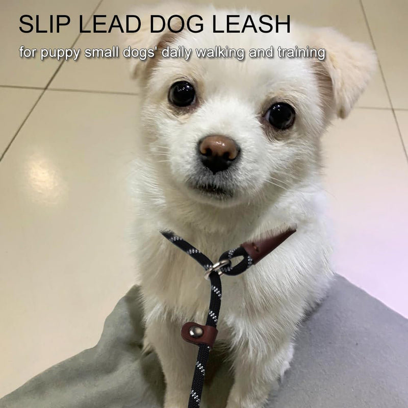 7 FT Slip Lead Dog Leash for Small Dogs, No Pull Puppy Training Lead, Lightweight Sturdy Pet Slip Rope Leash, Black 1/4'' x 7 FT - PawsPlanet Australia