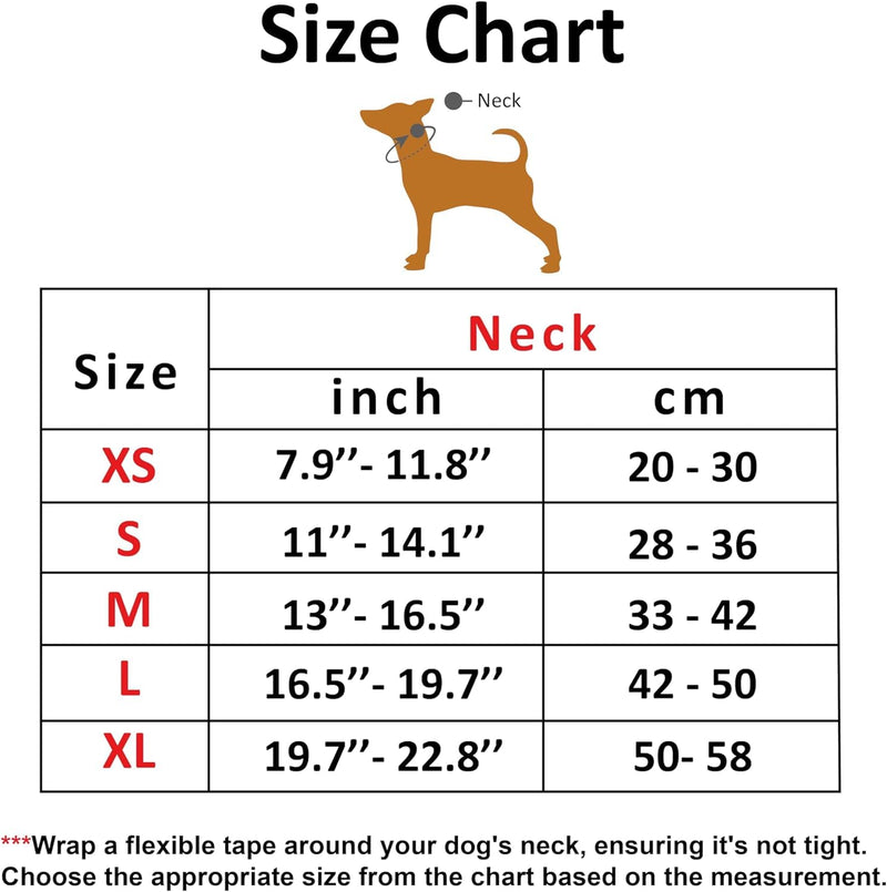 Soft Leather Dog Collar | Dog Collars for Small, Medium and Large Dogs | Durable Heavy Duty Dog Collars X-Large: Neck 19.7"-22.8" Yellow - PawsPlanet Australia