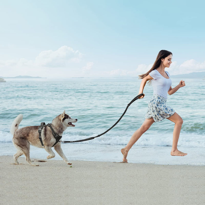 PoyPet 5 Feet Dog Leash - 3M Reflective - 2 Cushioned Handles - Functional Car Seat Belt(Black) Black Classic - PawsPlanet Australia