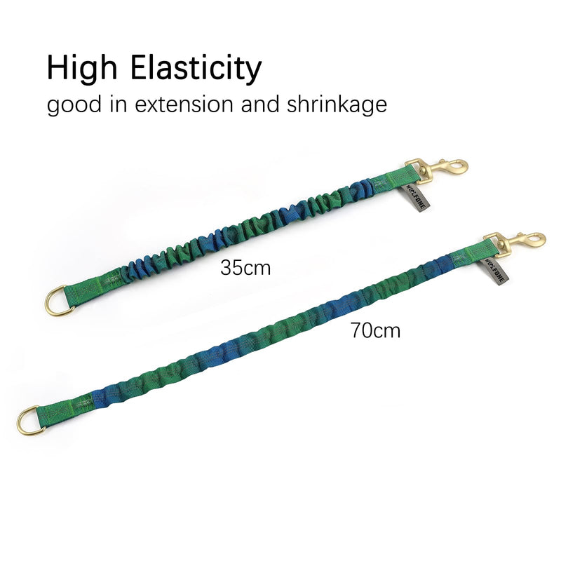 Wolfone Shock Absorber Reflective Threads Bungee Dog Leash for Running?Trainning?Recall 2-Pack Blue-Green Gradient 35-70cm - PawsPlanet Australia