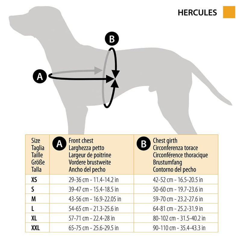 Ferplast Dog Harness HERCULES SMALL, Adjustable, Padded, Resistant, Scratchproof, Visible in the Dark, with Handle Black