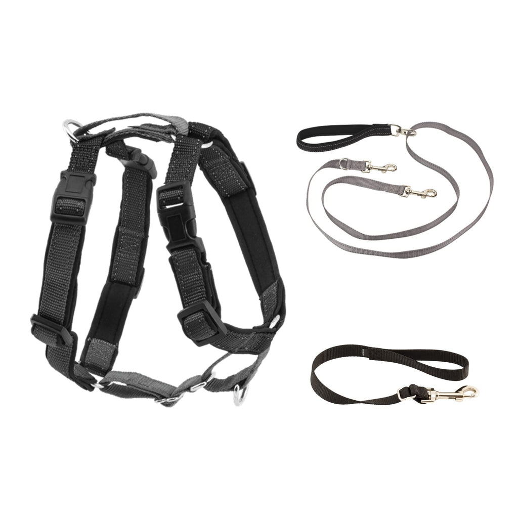 PetSafe 3 in 1 Harness with Two Point Control Leash - No-Pull Harness - Medium - Black - Adjustable Medium (Pack of 1)