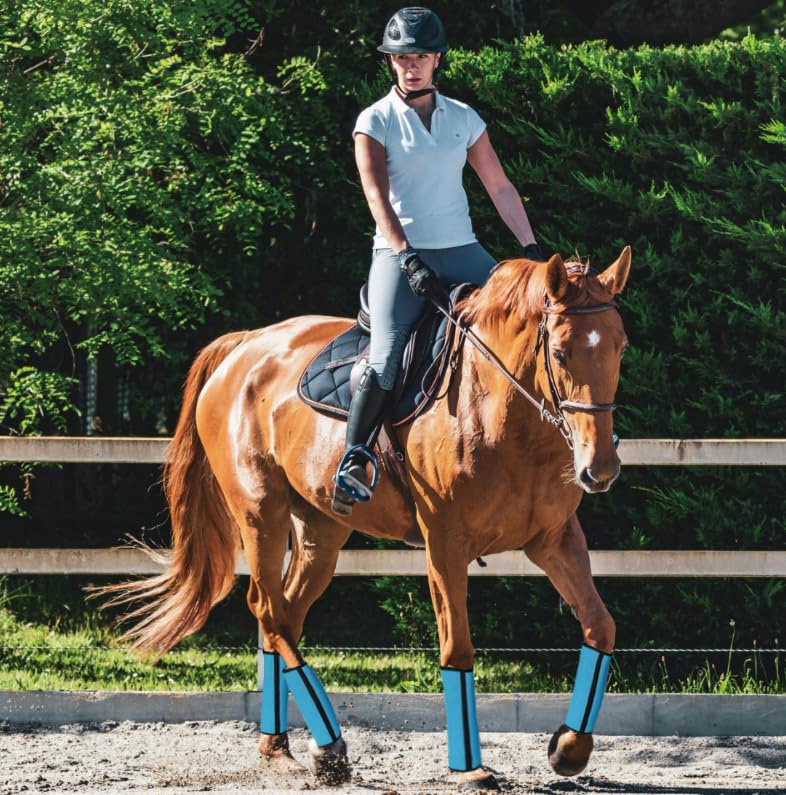 Fly Boots for Horses Set of 4 Breathable Textilene Mesh Horse Fly Boots with Stable Support & UV Protection, Comfortable Equine Boots, Reduces Stomping, Leg Fatigue & Hoof Damage.(Blue) Blue - PawsPlanet Australia