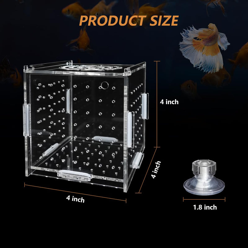 Acrylic Fish Breeding Box, Transparent Fish Isolation Box Hatchery Incubator with Suction Cups for Aquarium Fish Tank Guppy Shrimp Clownfish African Cichlids (4 * 4 * 4inch) 4*4*4inch - PawsPlanet Australia