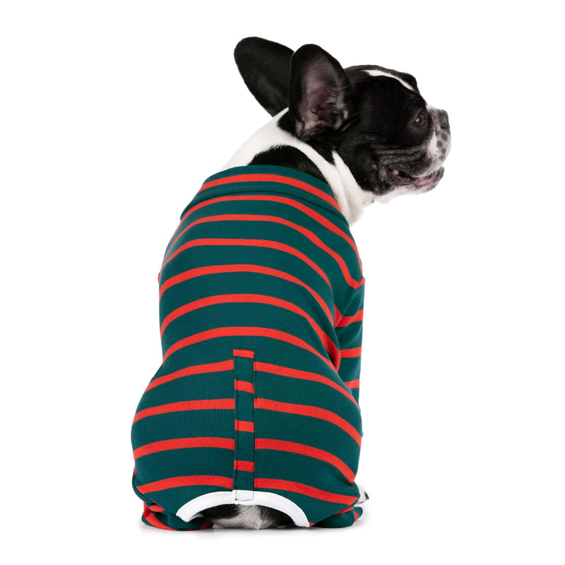 Dog Surgery Recovery Suit for Male/Female, Post Surgery Dog Shirt, After Surgery Dog Bodysuit, E-Collar & Cone Alternative Surgical Clothes, Anti-Licking Dog Snugly Onesie Medium Dark Green - PawsPlanet Australia