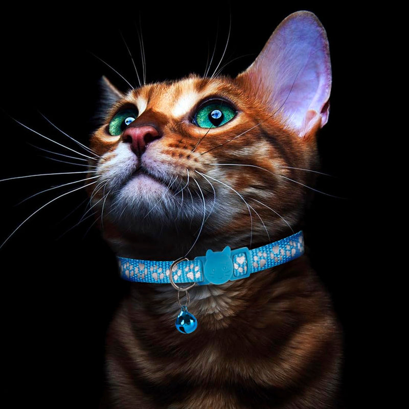 2 Pack Cat Collar with Bells, Reflective Collars for Cats with Breakaway Safety Buckle, Nylon, 7-12 Inch Adjustable, Blue - PawsPlanet Australia
