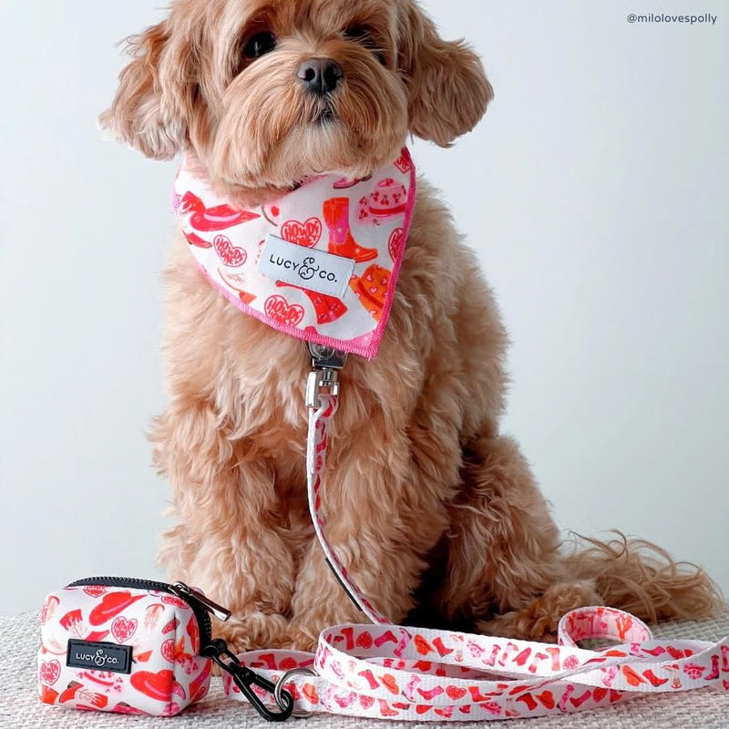 Lucy & Co. Howdy Honey Adjustable Dog Collar- Cute Designer Pet Collar for Small, Medium, Large Dogs- Buckle Closure Dog Accessories, Large, Country Print - PawsPlanet Australia