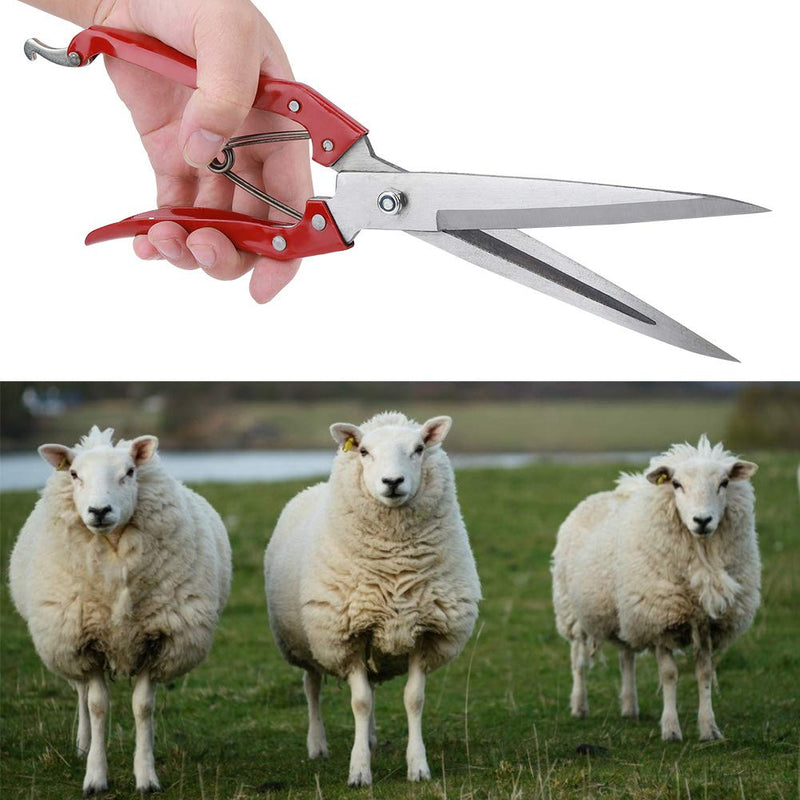 Manual Sheep Shearing, Stainless Steel Dog Wool Cutter Shears Pet Cut Hair Supplies Sheep Wool Shear Trimming Scissor Craft Scissors with Spring for Large Thick-Haired Animal Grooming - PawsPlanet Australia