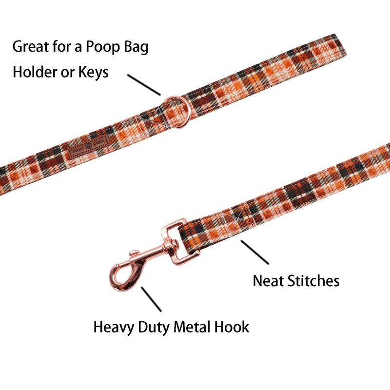 Lionet Paws Dog Leash Matching Dog Collar for Small Medium Large Dog O&B Grid - PawsPlanet Australia