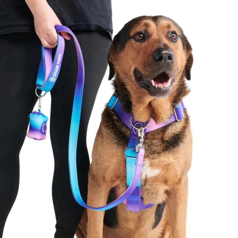 Spark Paws Premium Dog Leash & Poop Bag Set - Heavy-Duty Alloy Hook for Strong Pulling Breeds - Comfortable, Durable & Secure - 90s Retro - PawsPlanet Australia