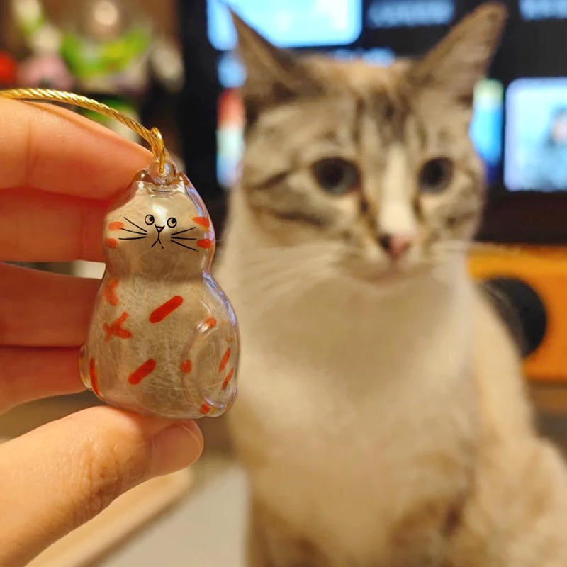 PUXING 5pcs Cat Fur Storage Bottle Cat Hair Keychain Cats Hair Holder Keychain Bottle Pendants Capsule Toys Pet Hairs Container with Tweezers/Comb(Color:B) B
