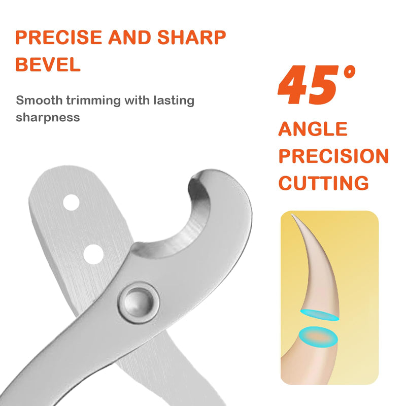 Bearded Dragon Professional Clippers - Depth-Limited Dual Holes, Angled Groove & Non-Slip Handle for Safe Trimming (White) round hole scissors