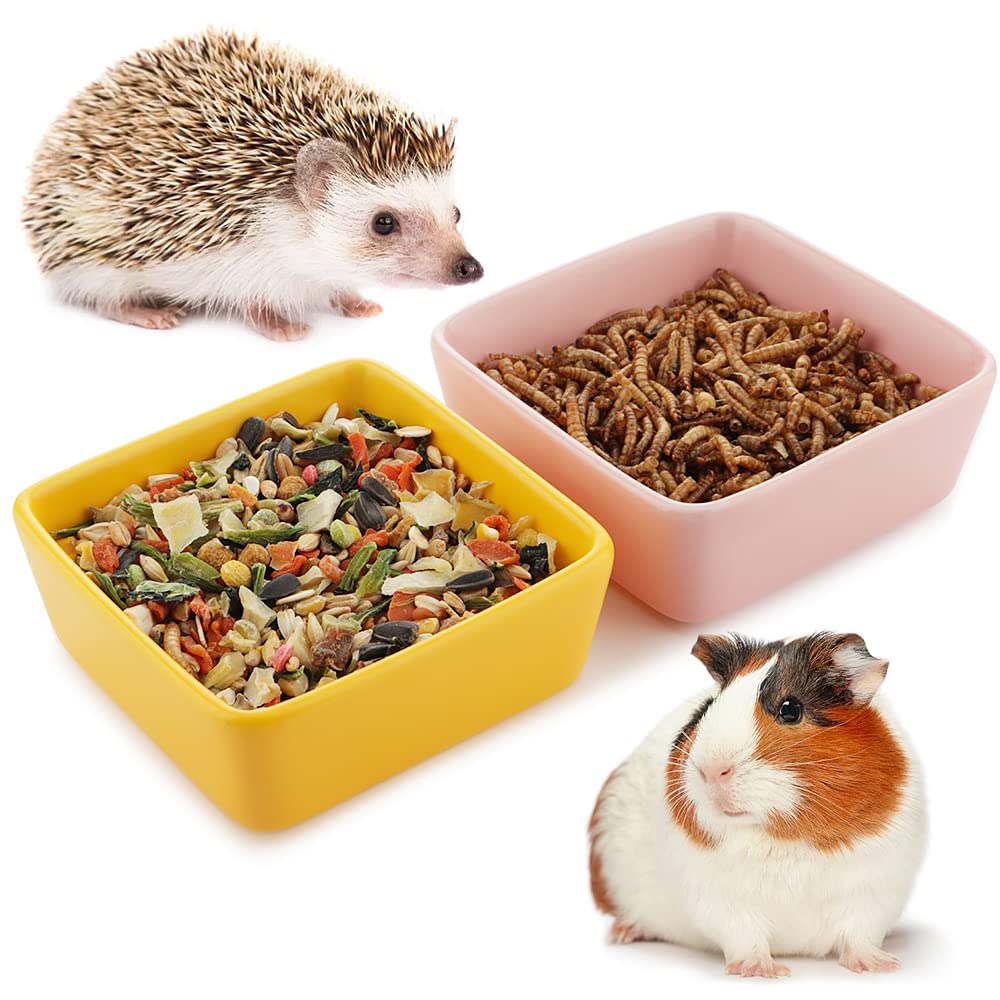 2 Pcs Pet Ceramic Food Bowl and Water Dish Feeder for Guinea Pig Hedgehog Squirrel Small Animals