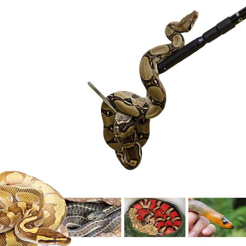 Snake Hook Reptile Grabber Rattle Snake Catcher,Professional Aluminum Alloy with Telescopic Rod and Lock, Comfortable Grip Handle for Catching,Controlling,Moving (53 inch Snake Hook) - PawsPlanet Australia