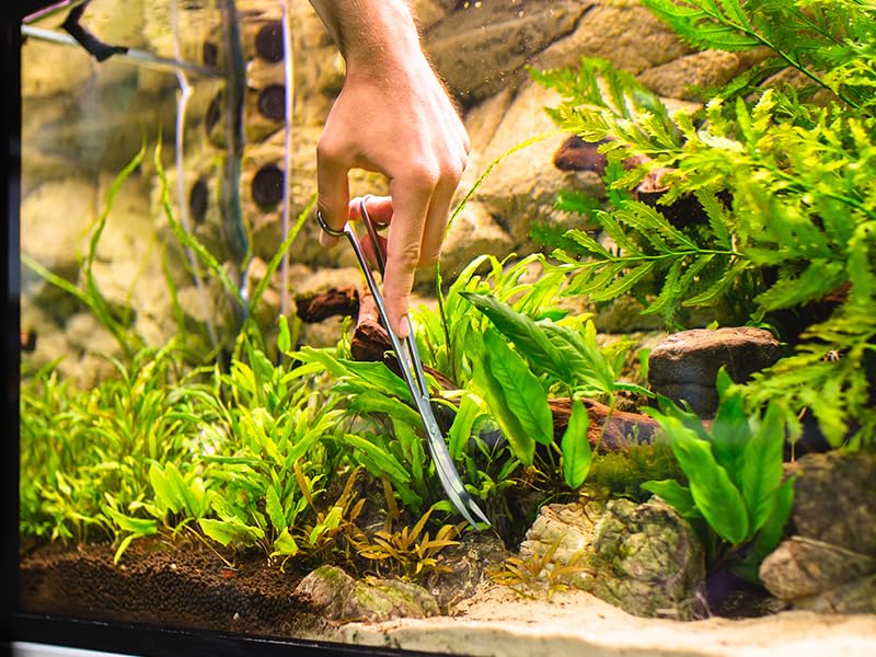 Long Aquarium Scissors for Plants 9.8 inches, Aquascaping Scissors Curved, Aquarium Plant Trimmer, Aquascape Tools, Terrarium Tools for Plants 1 Pc Curved - PawsPlanet Australia