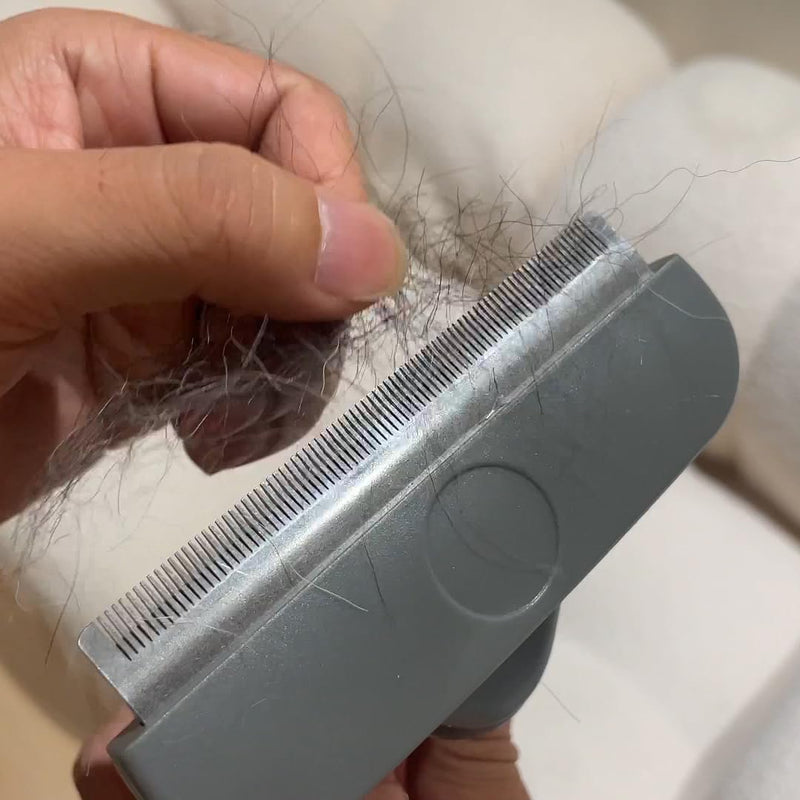 Dog Brush for Shedding Short Haired Dogs, Undercoat Deshedding Tool Set, Gently and Effectively Remove Loose Hair and Reduce Shedding, Includes a Brush and a Double-sided Silicone Glove - PawsPlanet Australia
